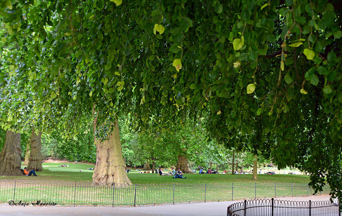 Green Park in London UK.